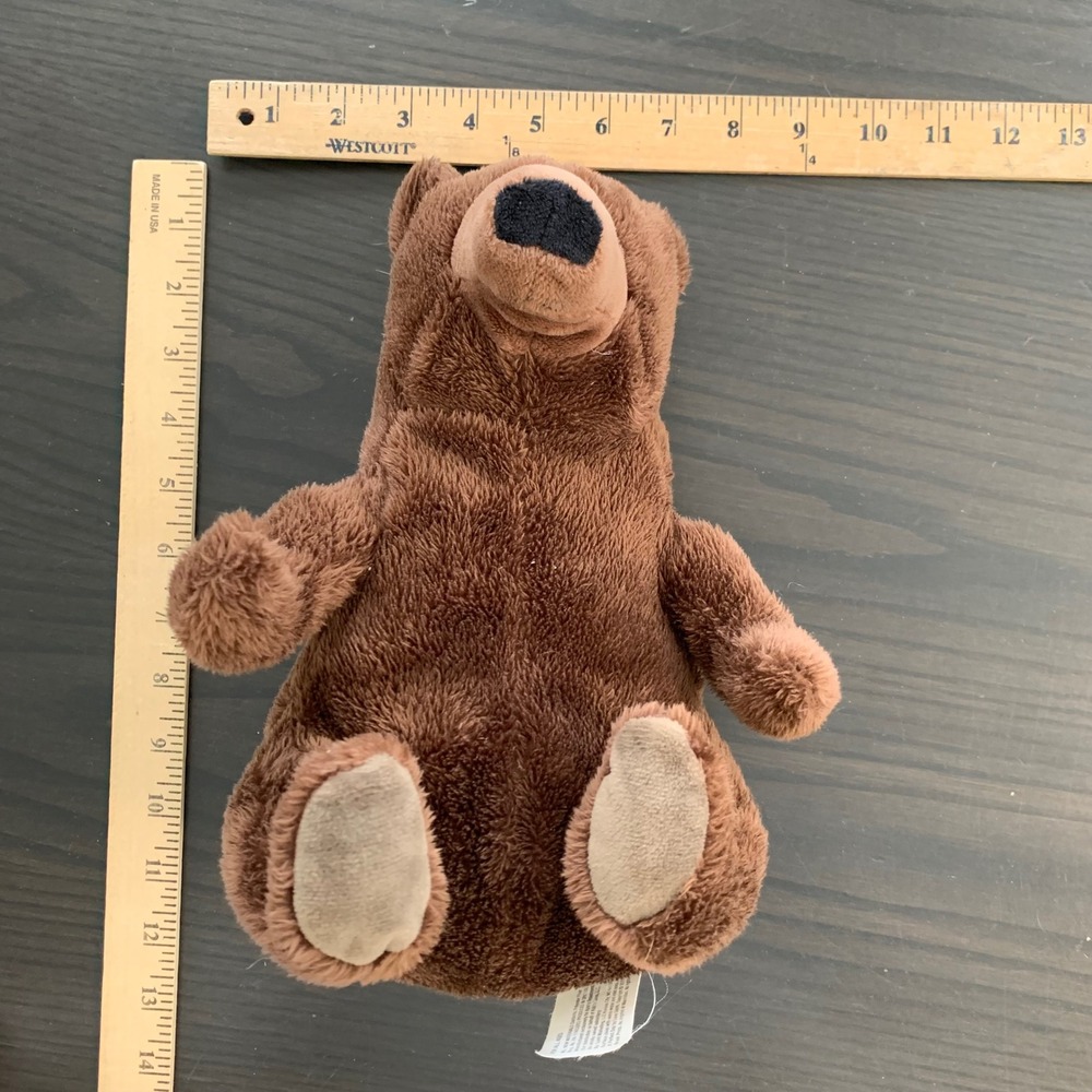 Kohls Cares A Perfect Day Brown Bear Plush Stuffed Animal Lane Smith‎ 12 inch